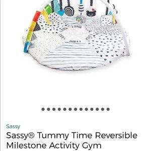 Sassy tummy time reversible milestone activity mat